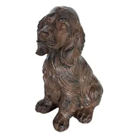 Buitenhond