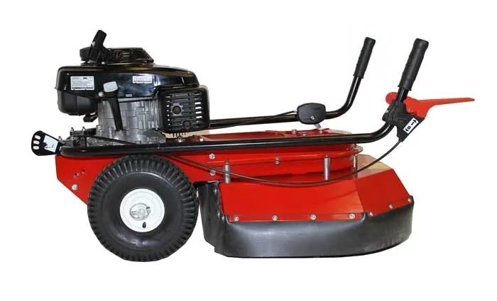 Tielburger TW 50 X Pro aangedreven onkruidborstelmachine GXV 160 met steunwiel